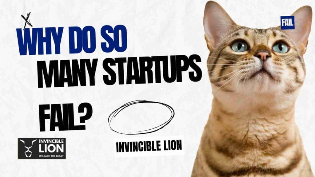 Why do so many startups fail?